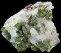 Lustrous, Epidote Crystal Cluster with Quartz - Morocco #49406-1